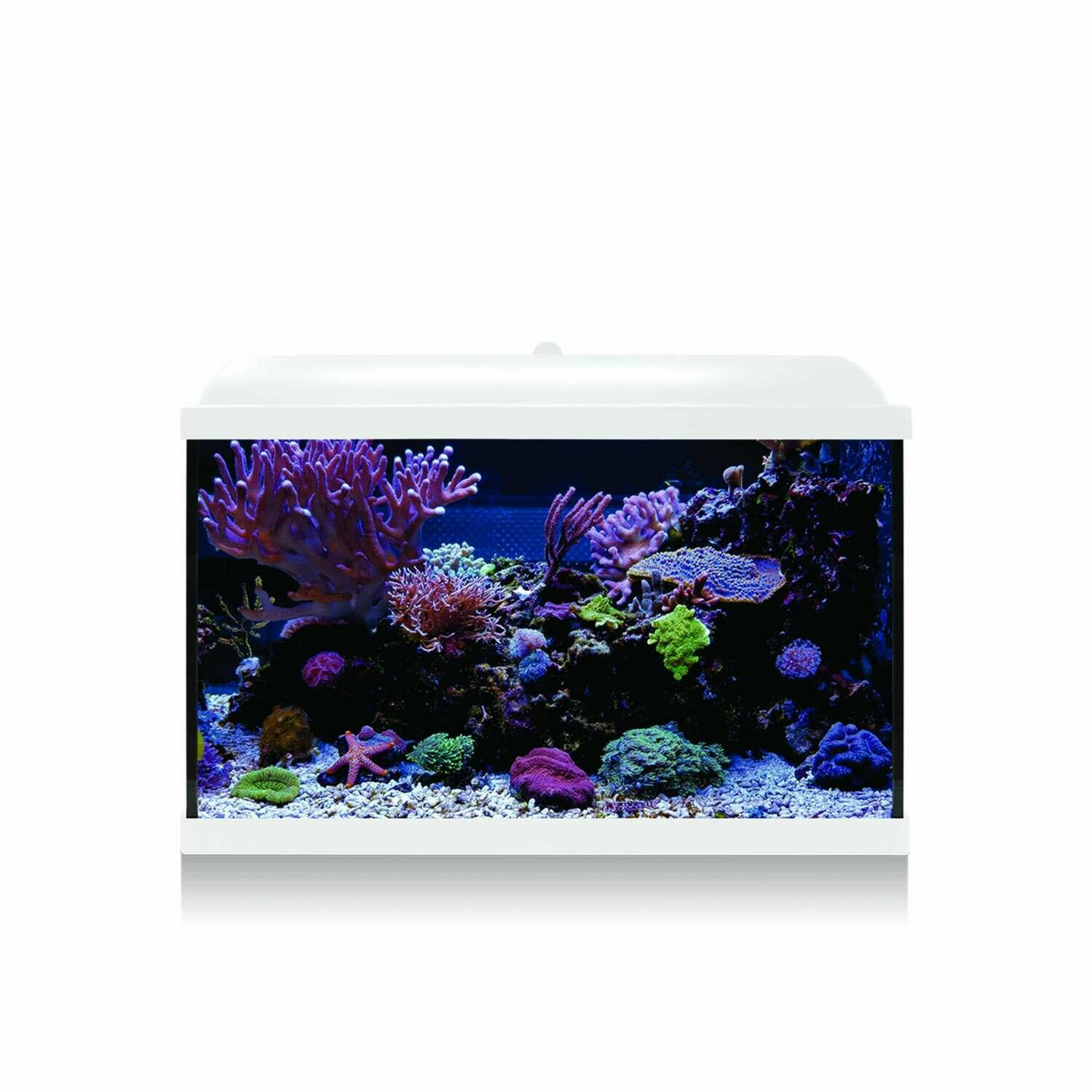 Kit Hydra 68 para agua salada