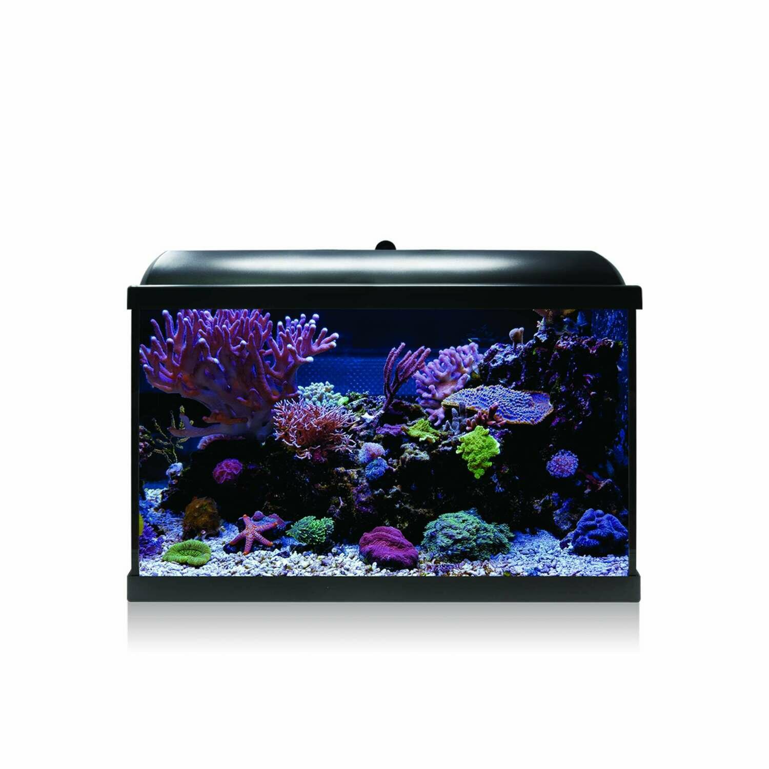 Kit Hydra 68 para agua salada