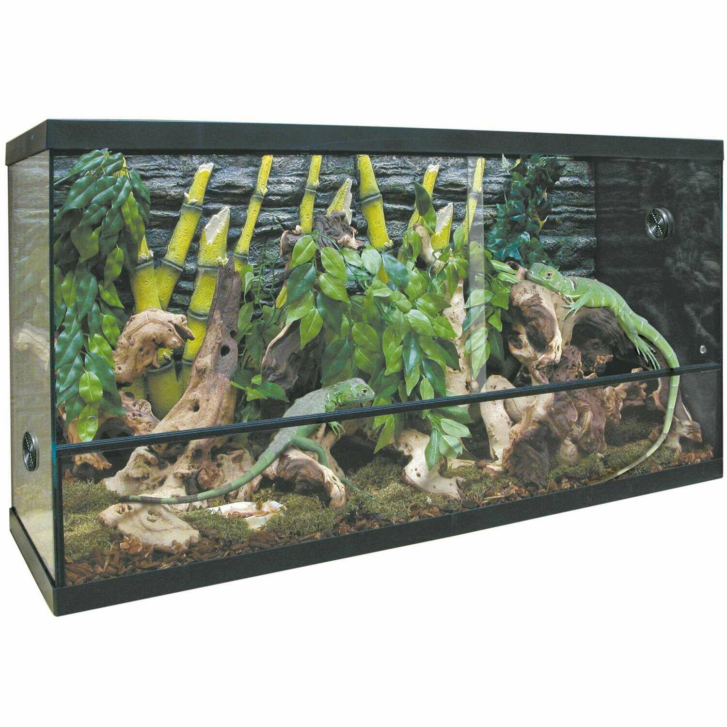 Kit para terrario REPTI-SELVA CRISTAL