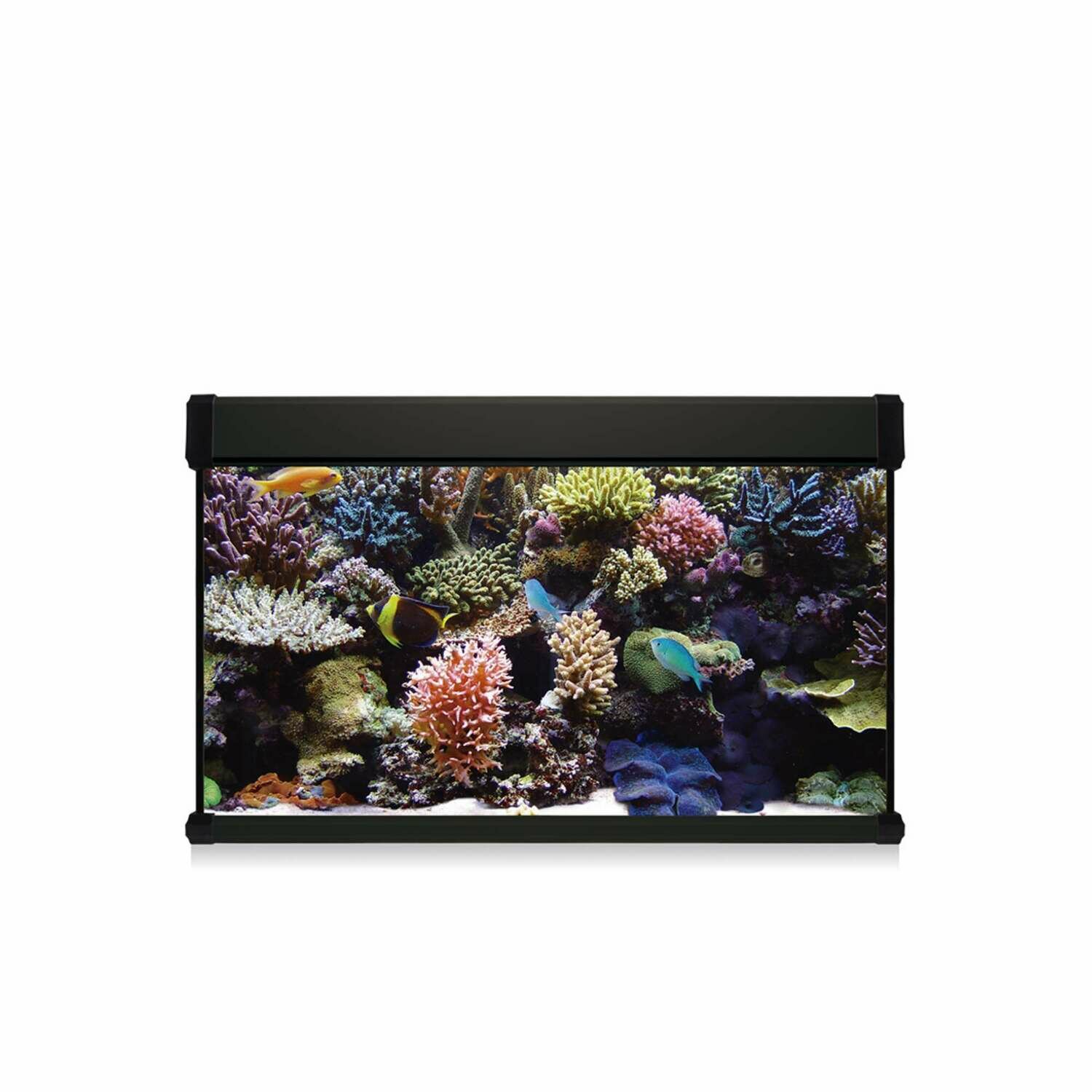 Kit AQUA LUX PRO 100 con filtro interior