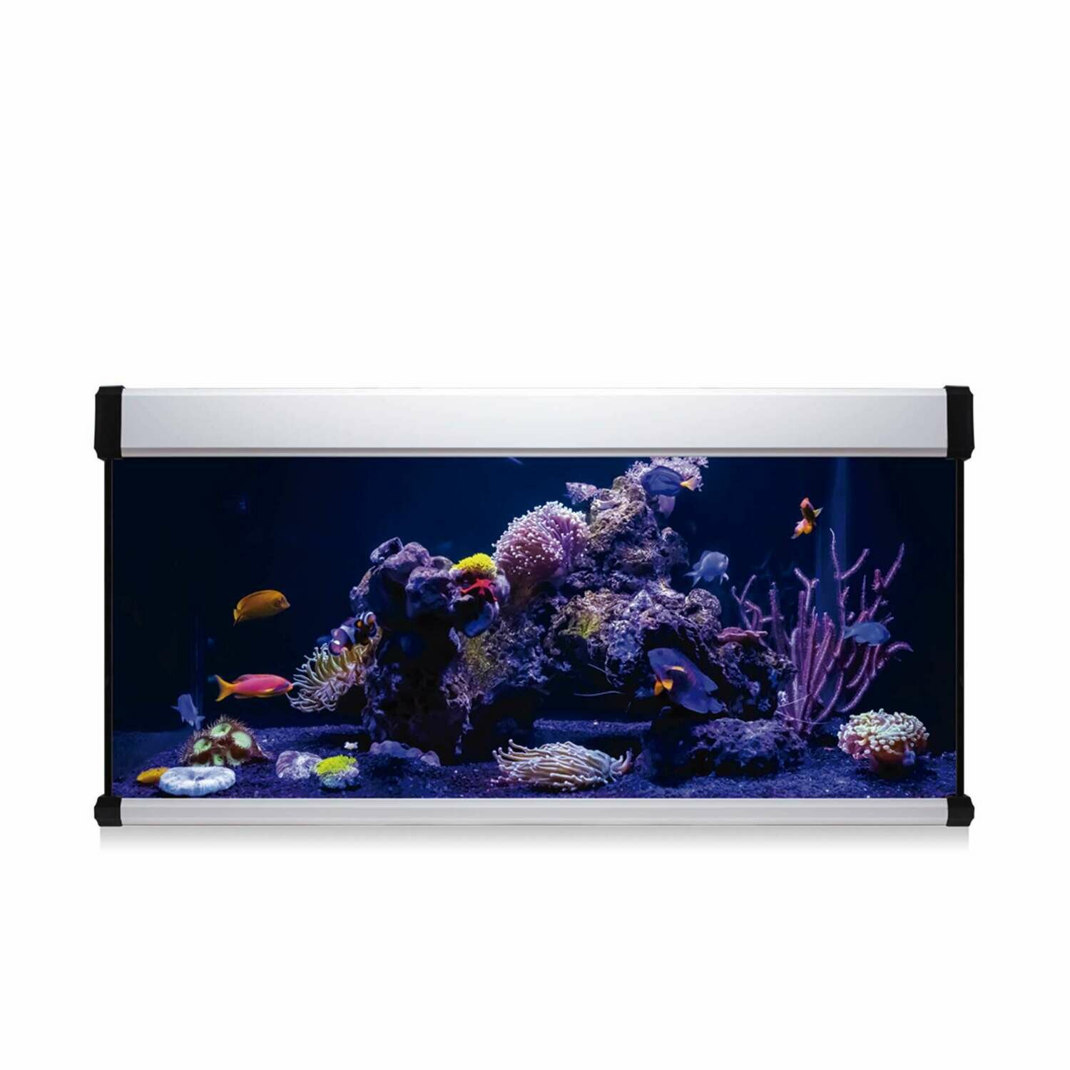 Kit AQUA LUX PRO 130 con filtro interior Kit AQUA LUX PRO 130 con filtro interior