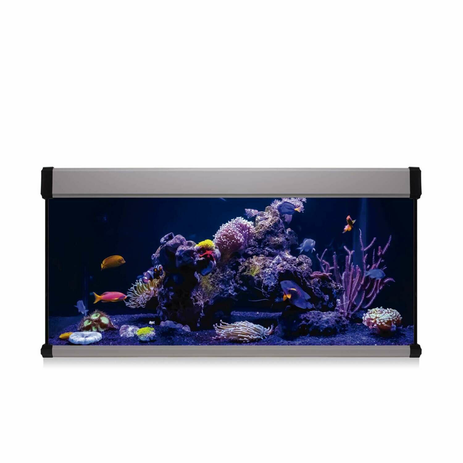 Kit AQUA LUX PRO 130 con filtro interior