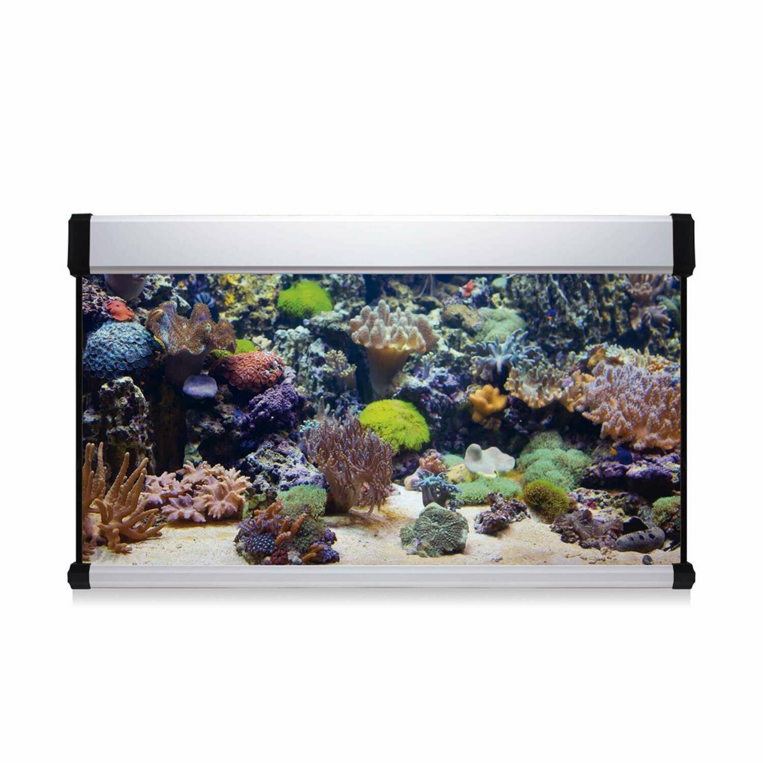 Kit AQUA LUX PRO 200 con filtro interior