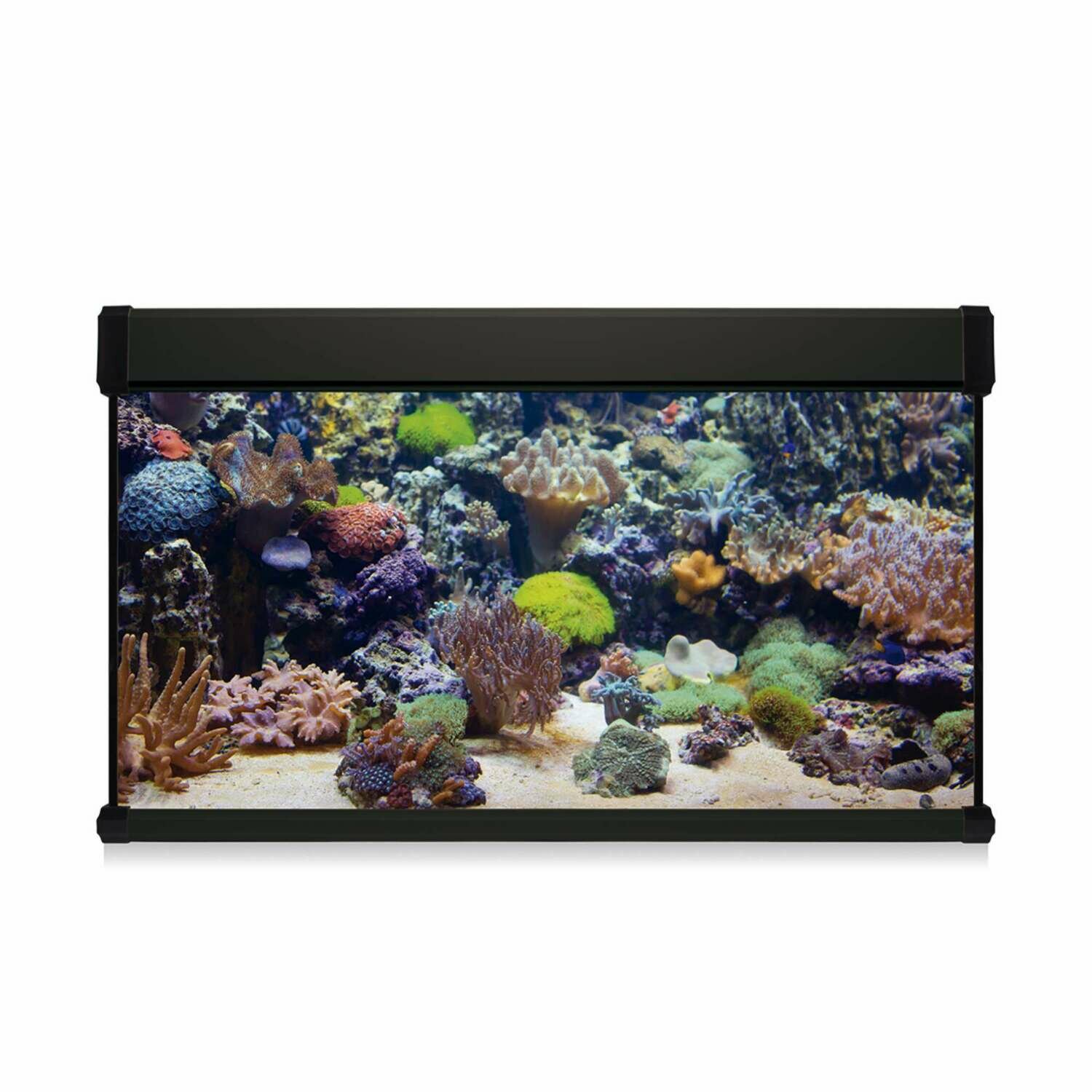 Kit AQUA LUX PRO 200 con filtro interior