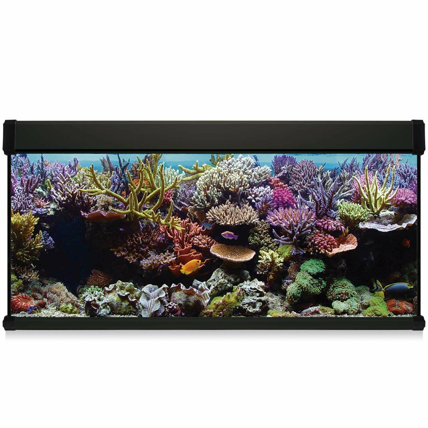 Kit AQUA LUX PRO 240 con filtro interior Kit AQUA LUX PRO 240 con filtro interior