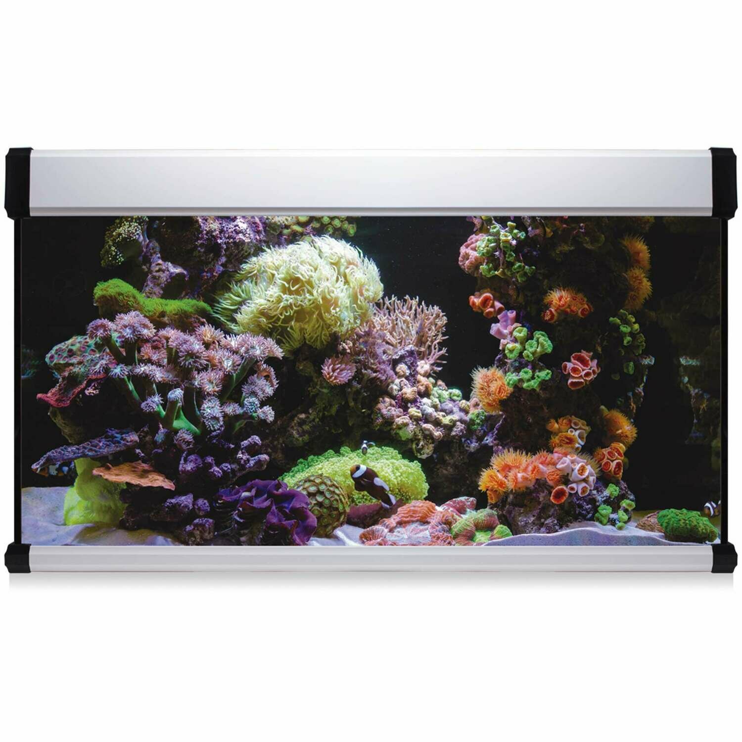 Kit AQUA LUX PRO 300 con filtro interior