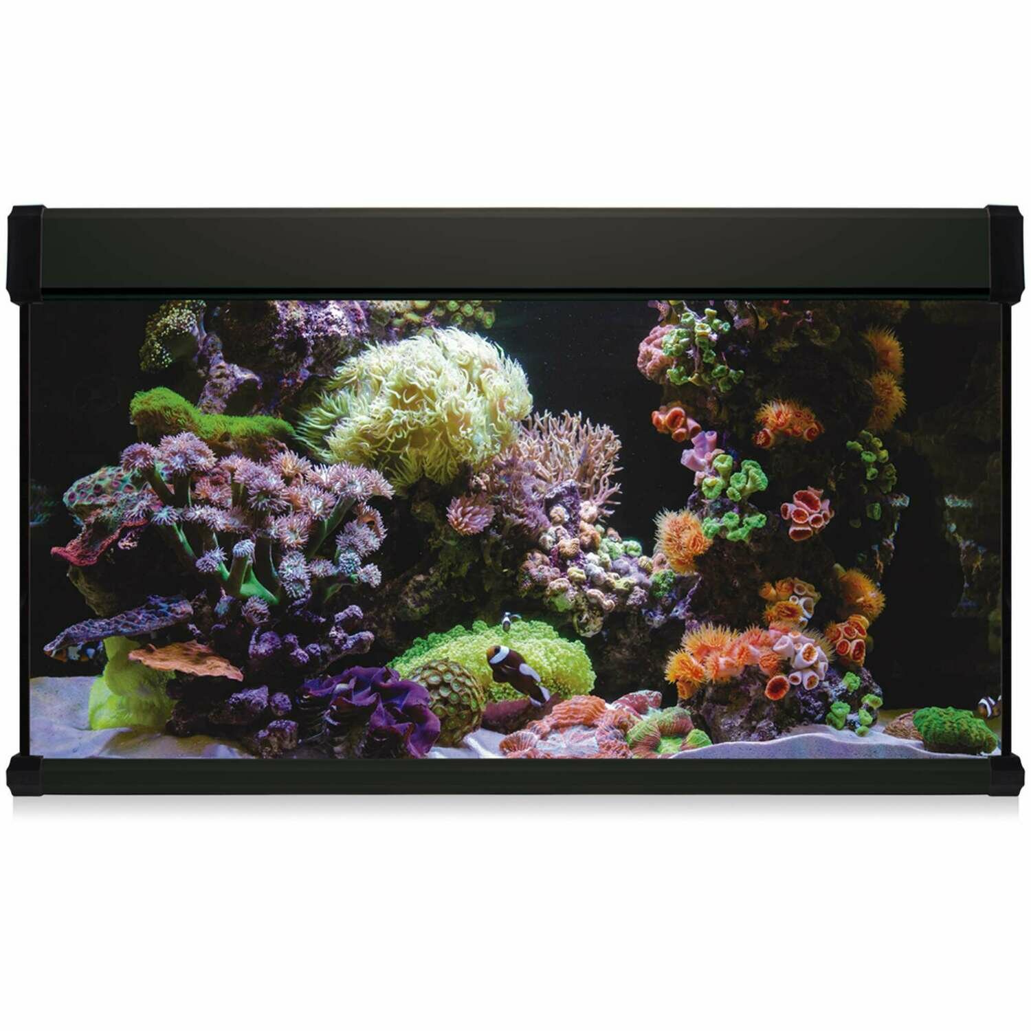 Kit AQUA LUX PRO 300 con filtro interior