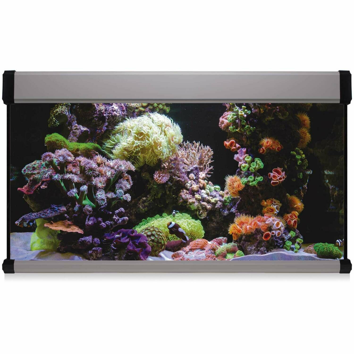 Kit AQUA LUX PRO 300 con filtro interior