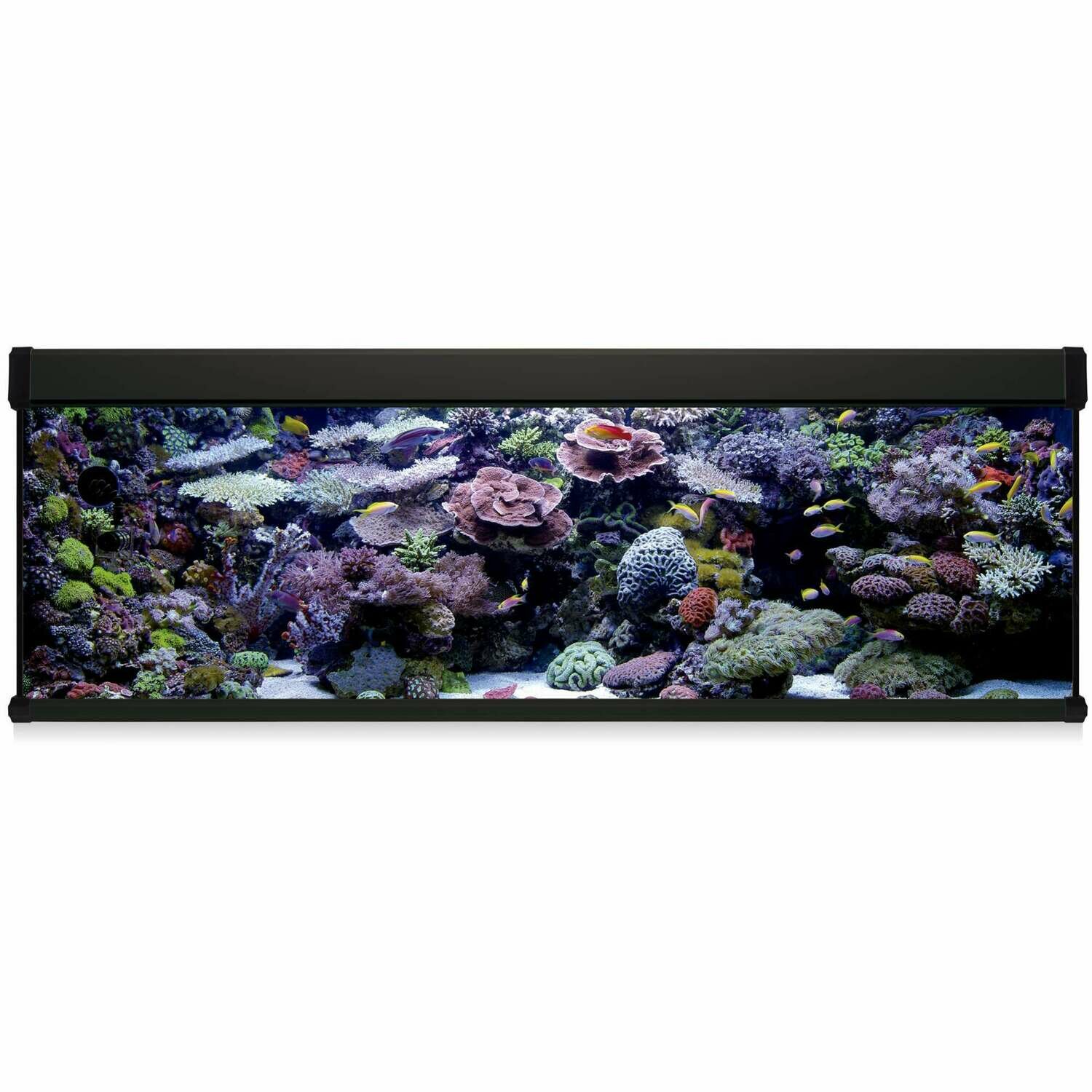 Kit AQUA LUX PRO 600 con filtro exterior Kit AQUA LUX PRO 600 con filtro exterior