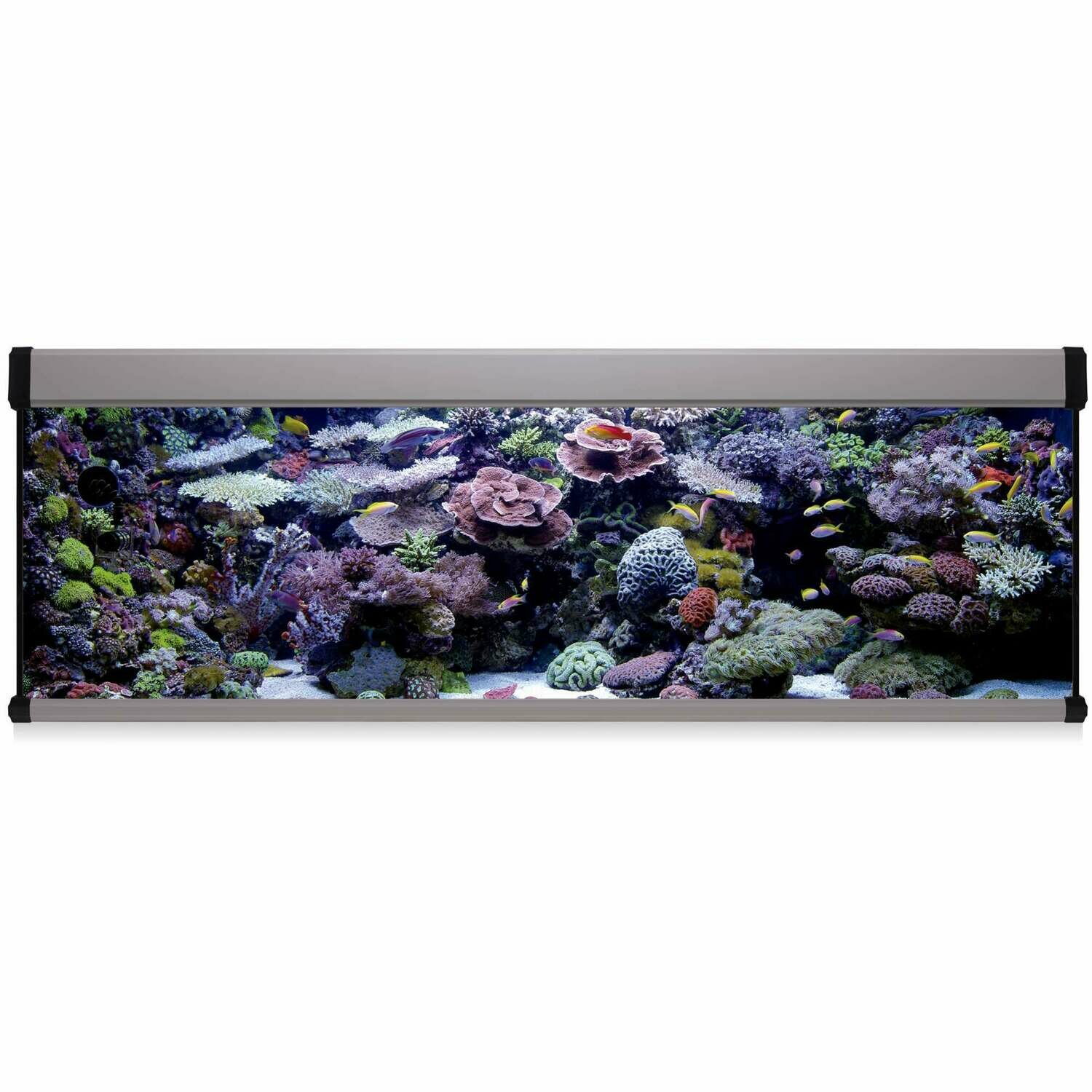 Kit AQUA LUX PRO 600 con filtro exterior Kit AQUA LUX PRO 600 con filtro exterior