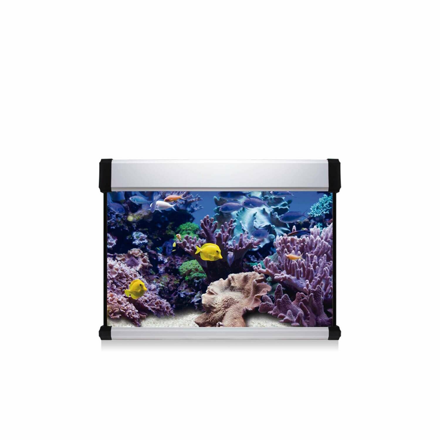 Kit AQUA LUX PRO 68 con filtro interior