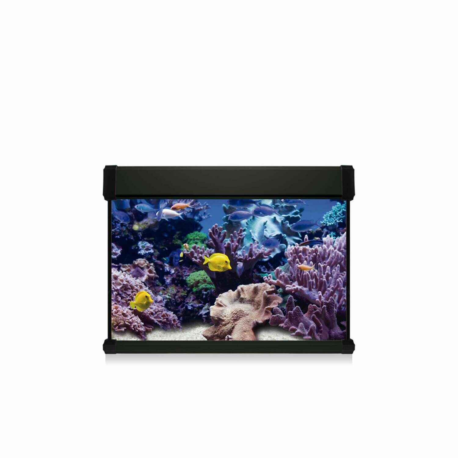 Kit AQUA LUX PRO 68 con filtro interior