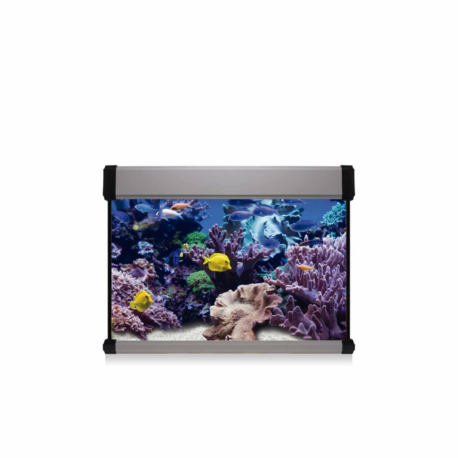 Kit AQUA LUX PRO 68 con filtro interior