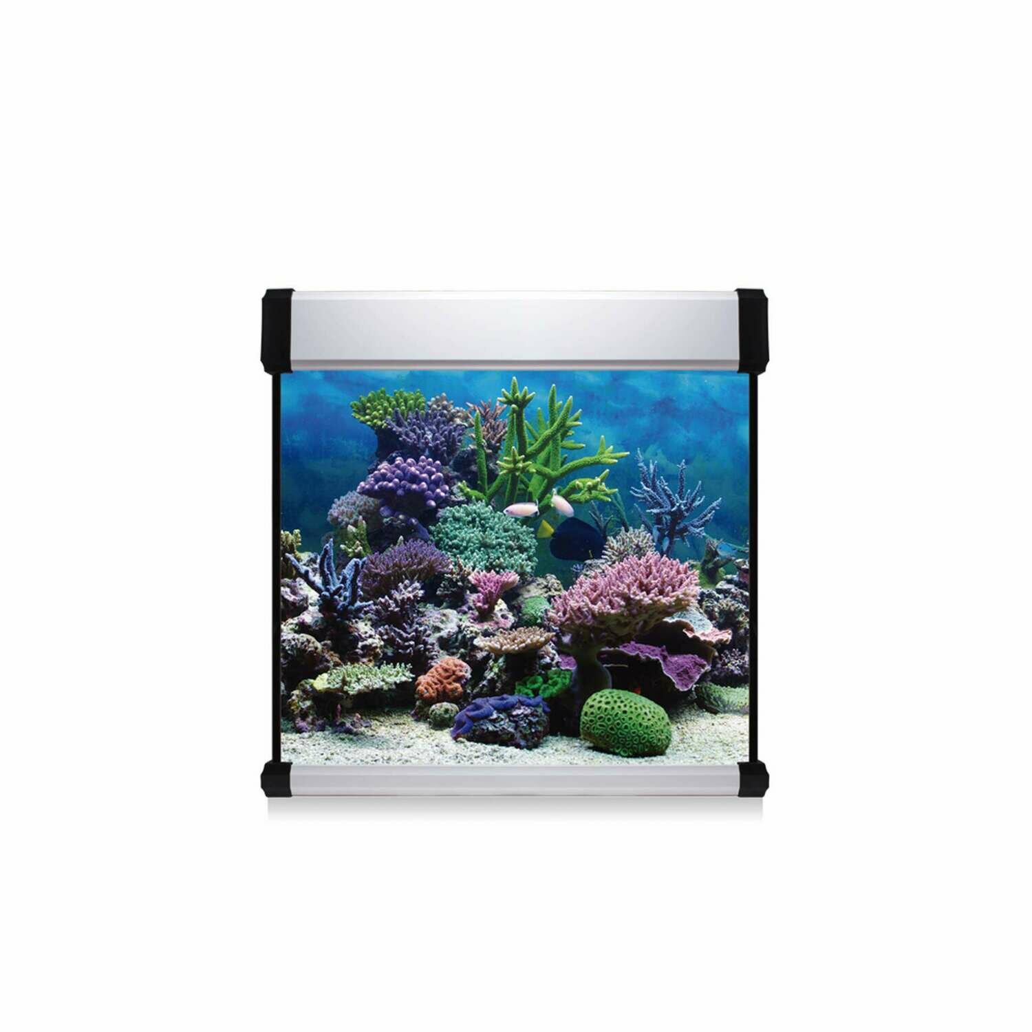 Kit AQUA LUX PRO 190 con filtro interior