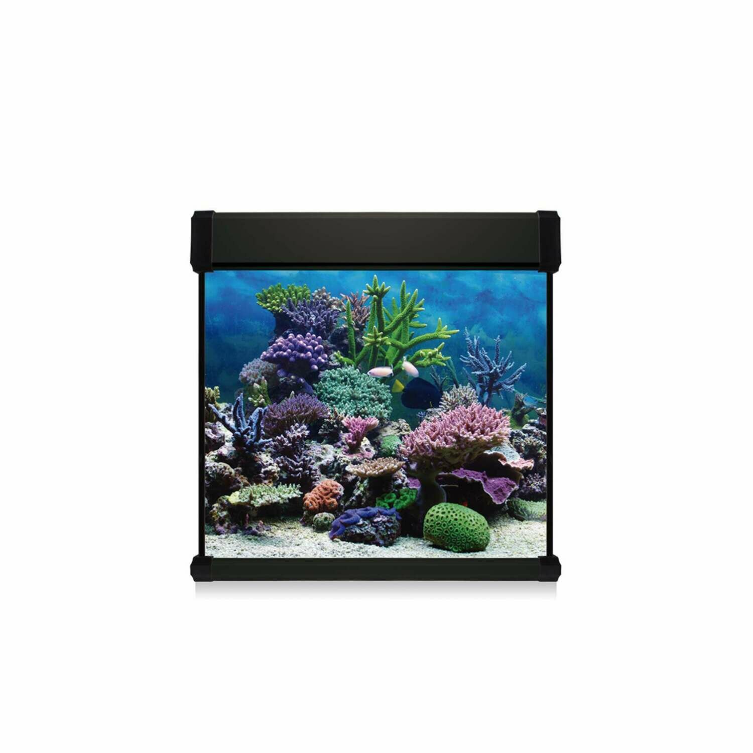 Kit AQUA LUX PRO 190 con filtro interior