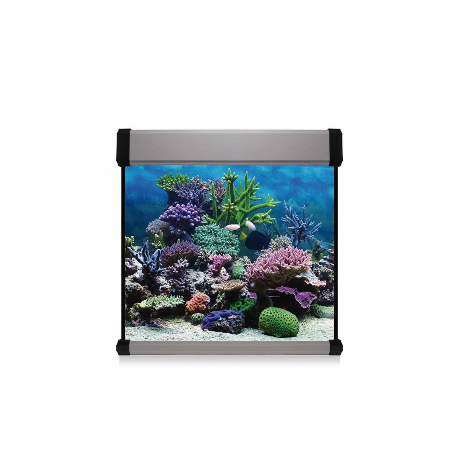 Kit AQUA LUX PRO 190 con filtro interior