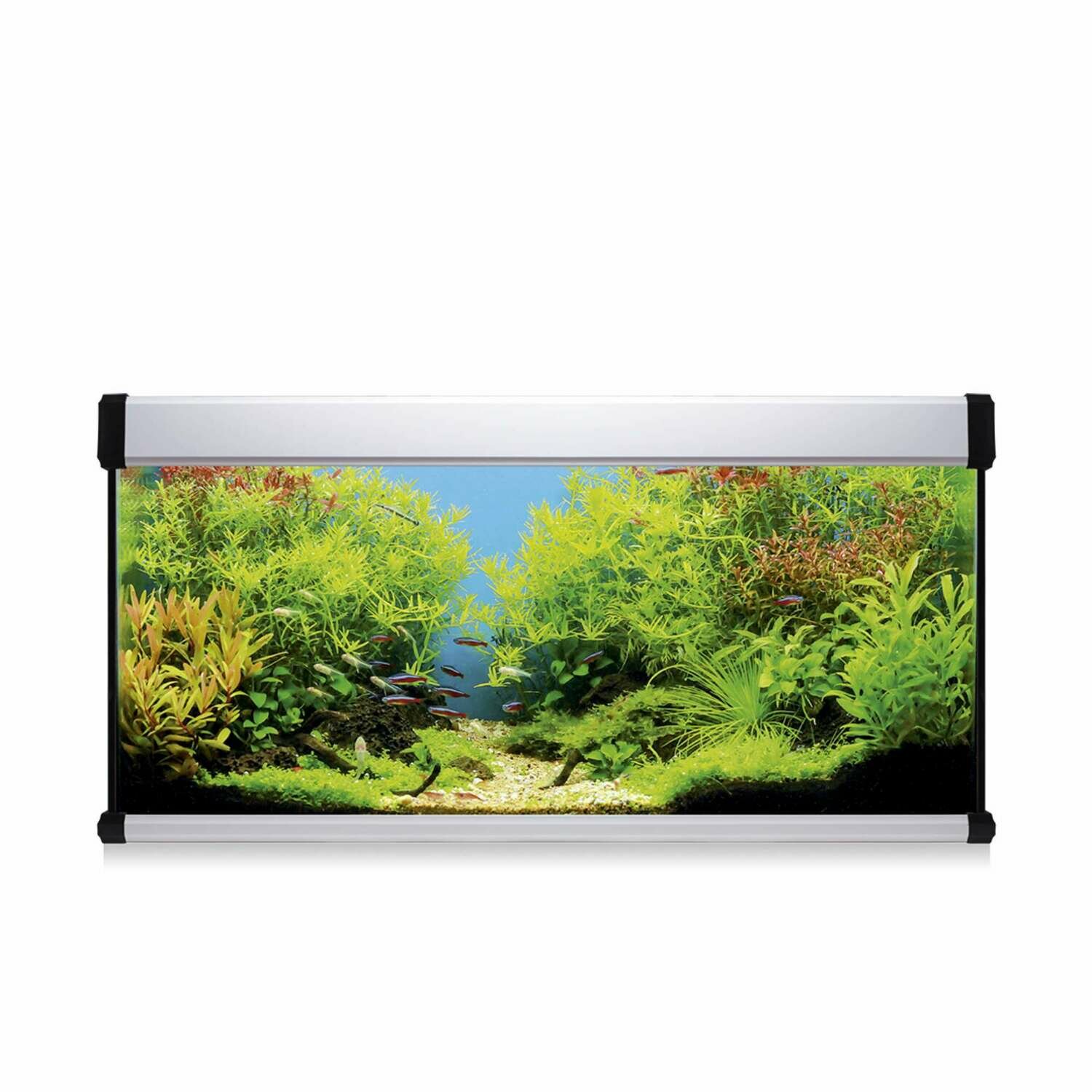 Kit AQUA LUX PRO 130 con filtro interior