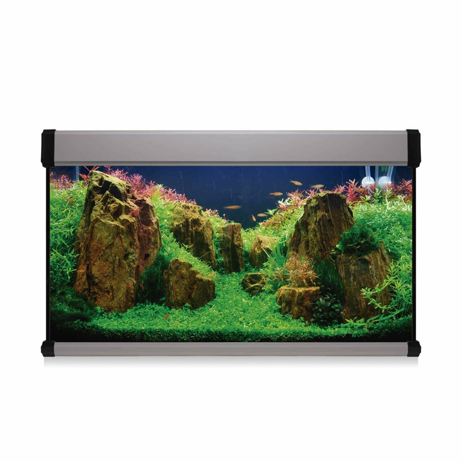 Kit AQUA LUX PRO 200 con filtro exterior