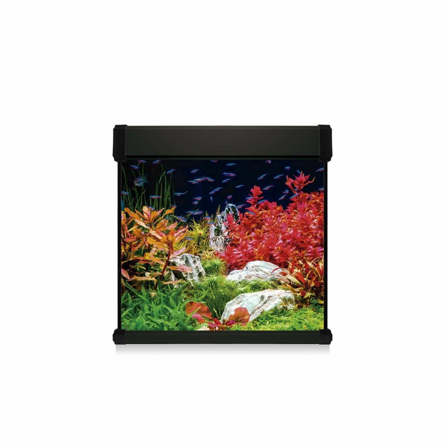 Kit AQUA LUX PRO 190 con filtro exterior