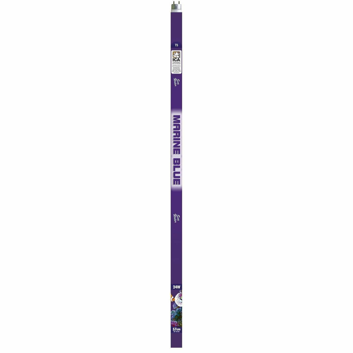 Fluorescente T5 MARINE BLUE