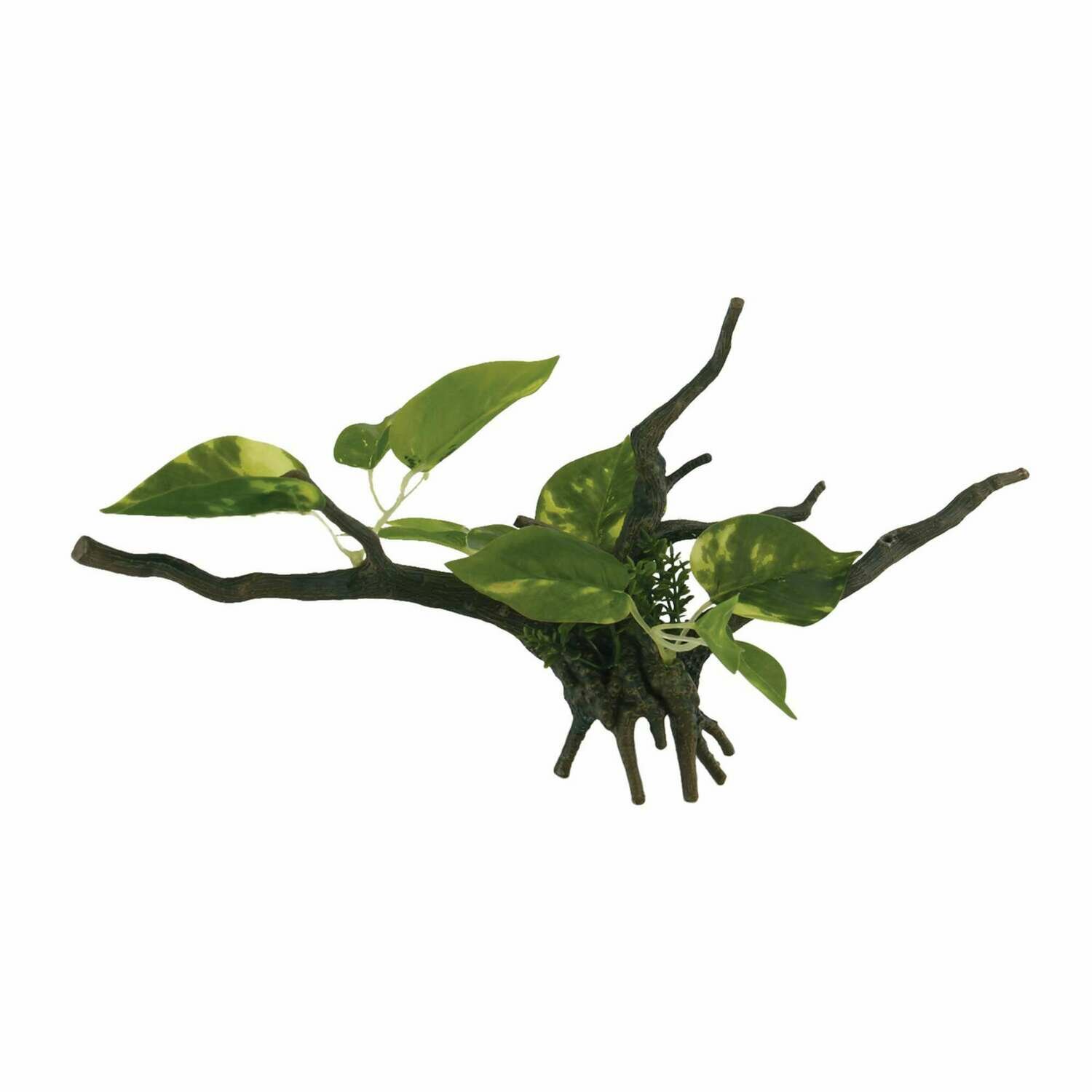 Troncos con plantas de ICA