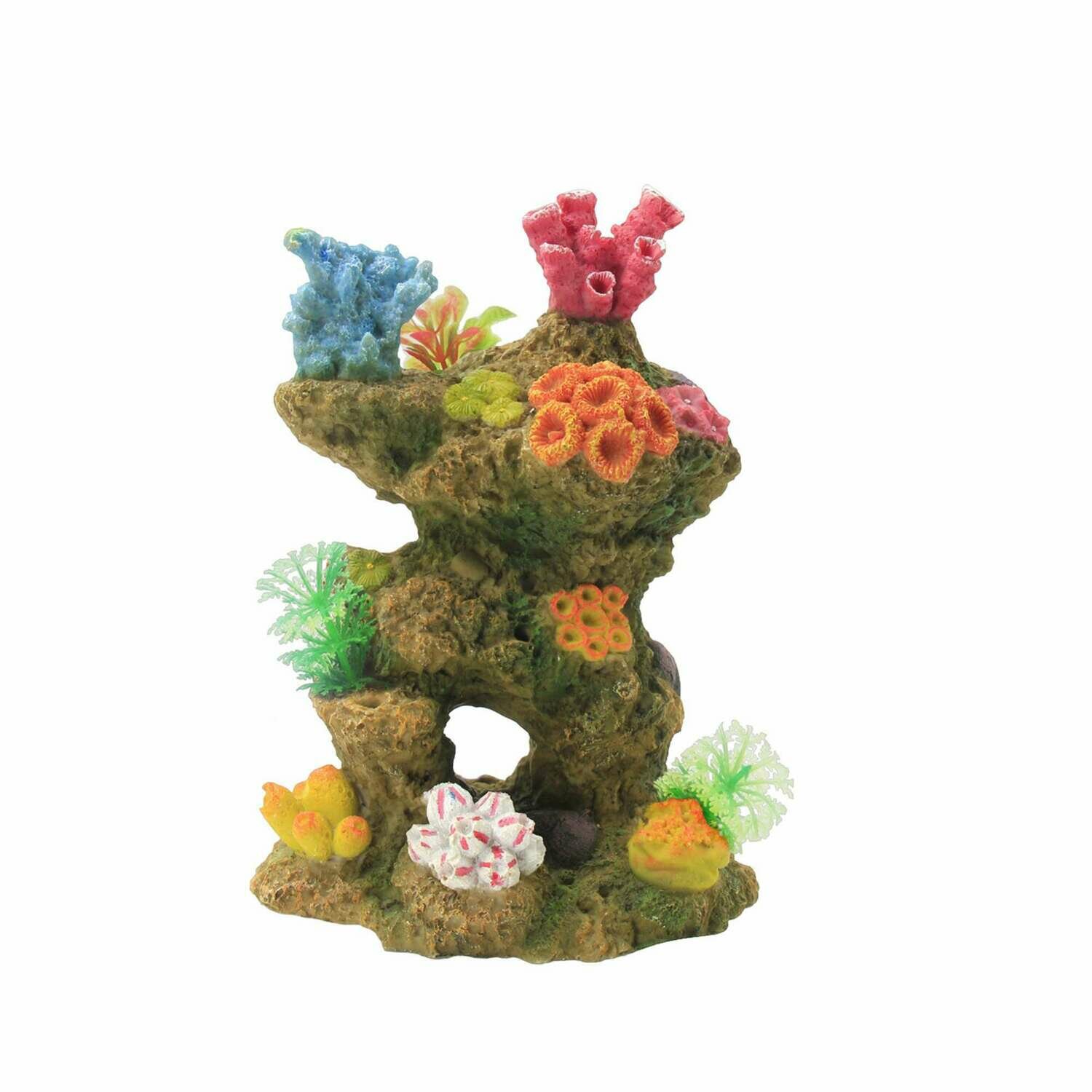 Conjunto de CORAL_REEF de ICA