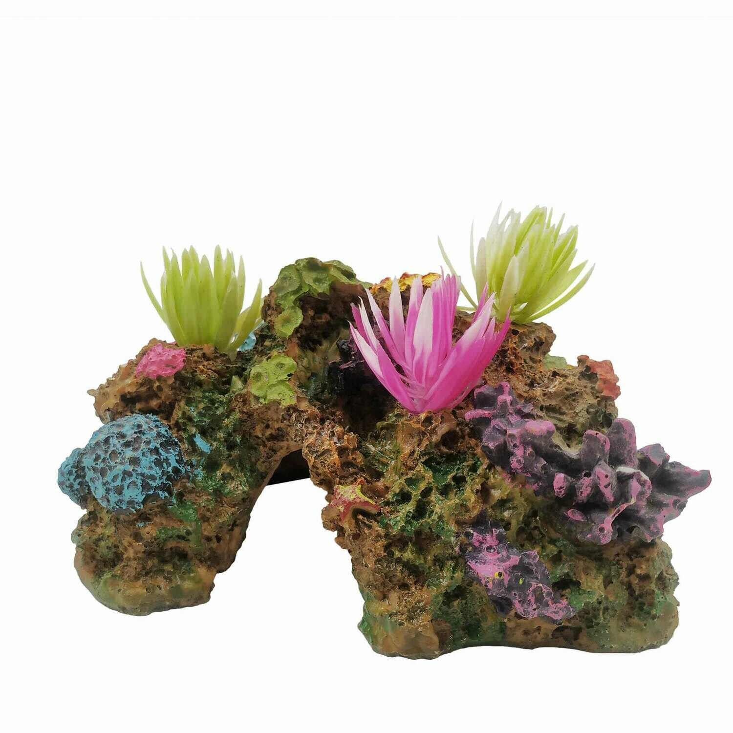 Conjunto de CORAL_REEF de ICA