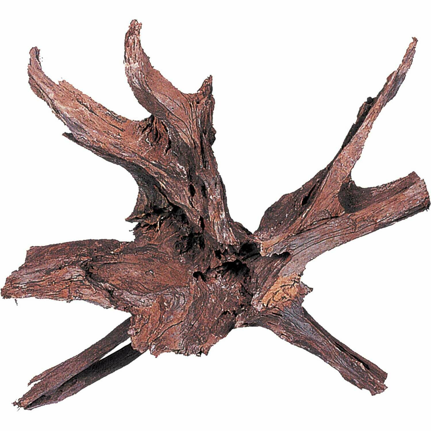 Tronco natural DRIFTWOOD