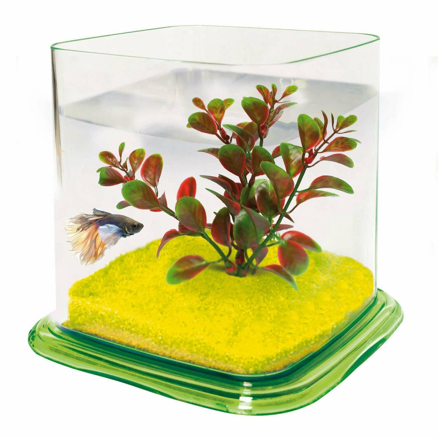 Bettera BETTA PARADISE