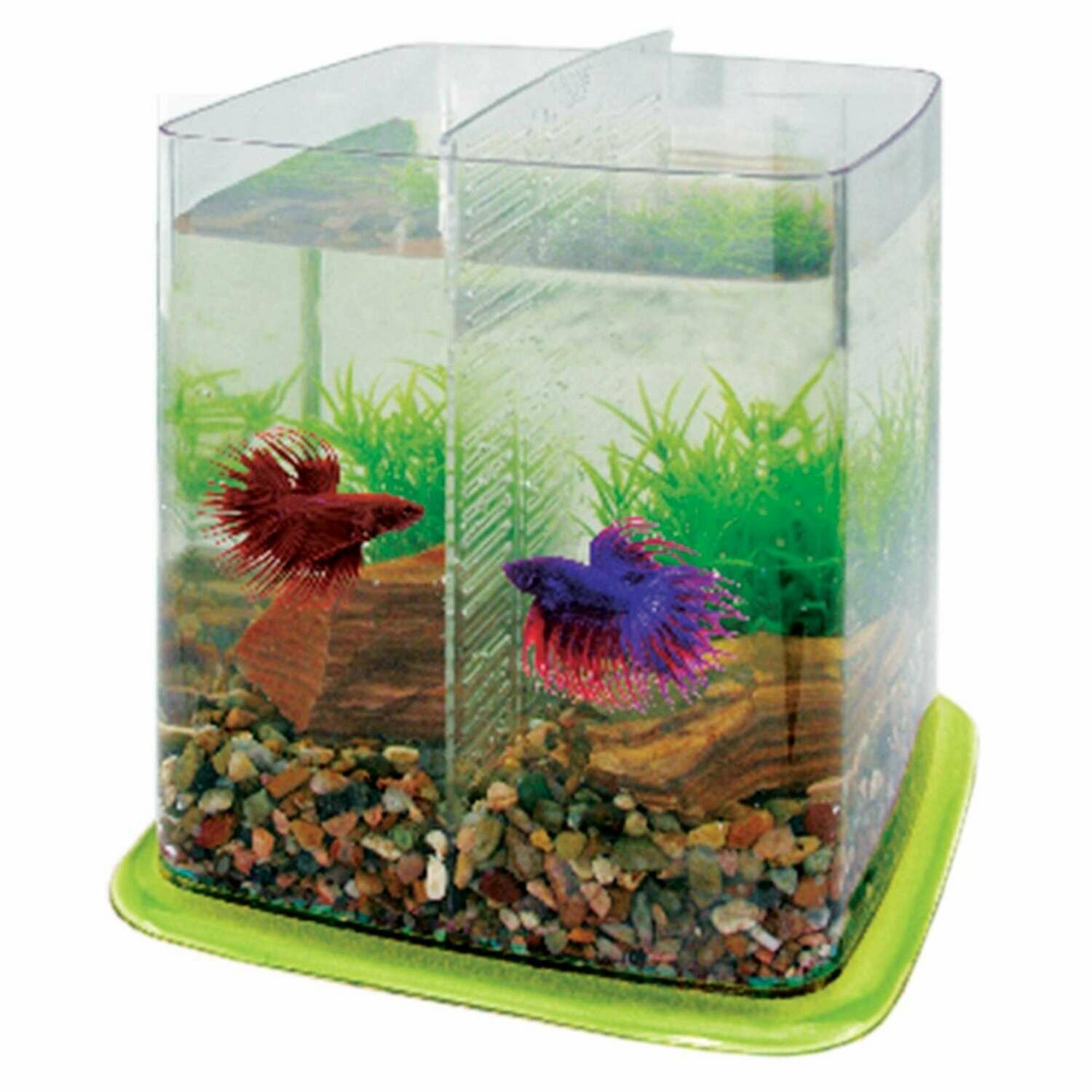 Bettera BETTA BATTLE PARADISE
