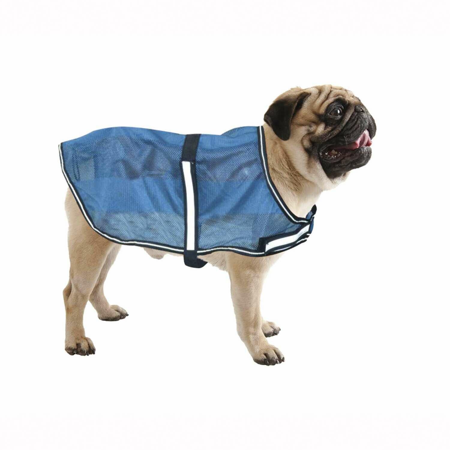 Abrigo Summer XT-DOG