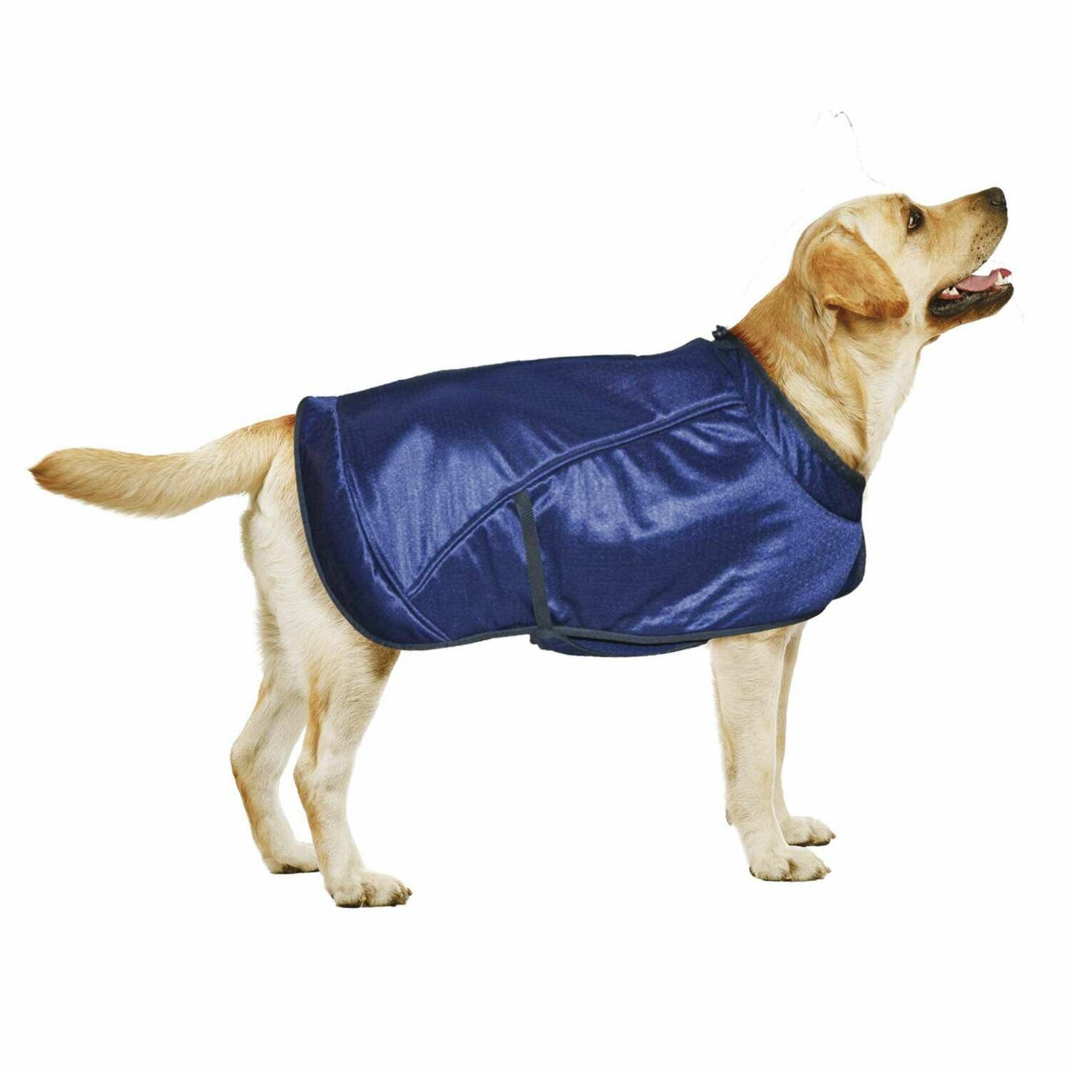 Abrigo Fitness XT-DOG