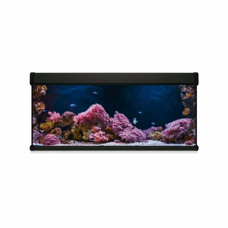 Kit AQUA LUX PRO 450 con filtro exterior