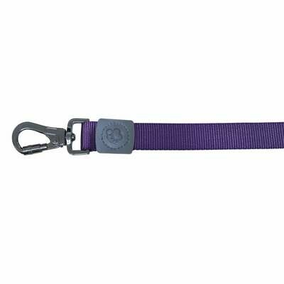 Correa Classic XT-DOG