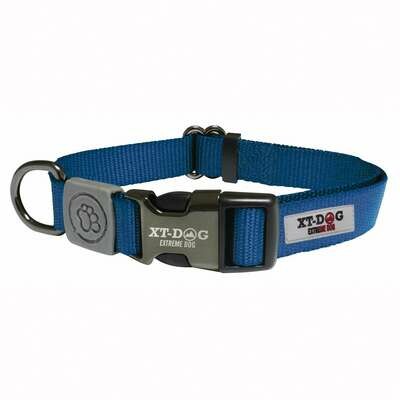 Collar Classic XT-DOG