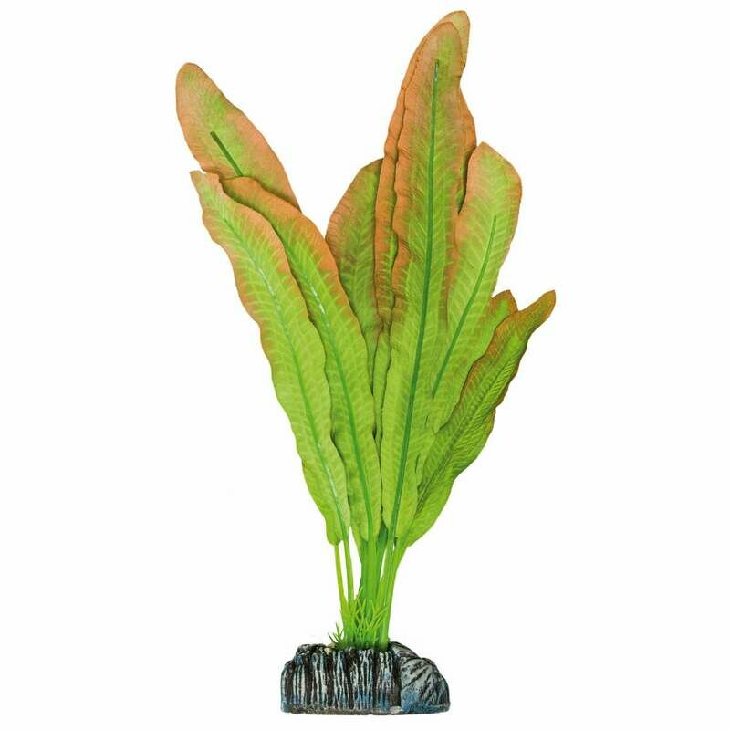 Microsorium de AQUATIC PLANTS (SEDA)