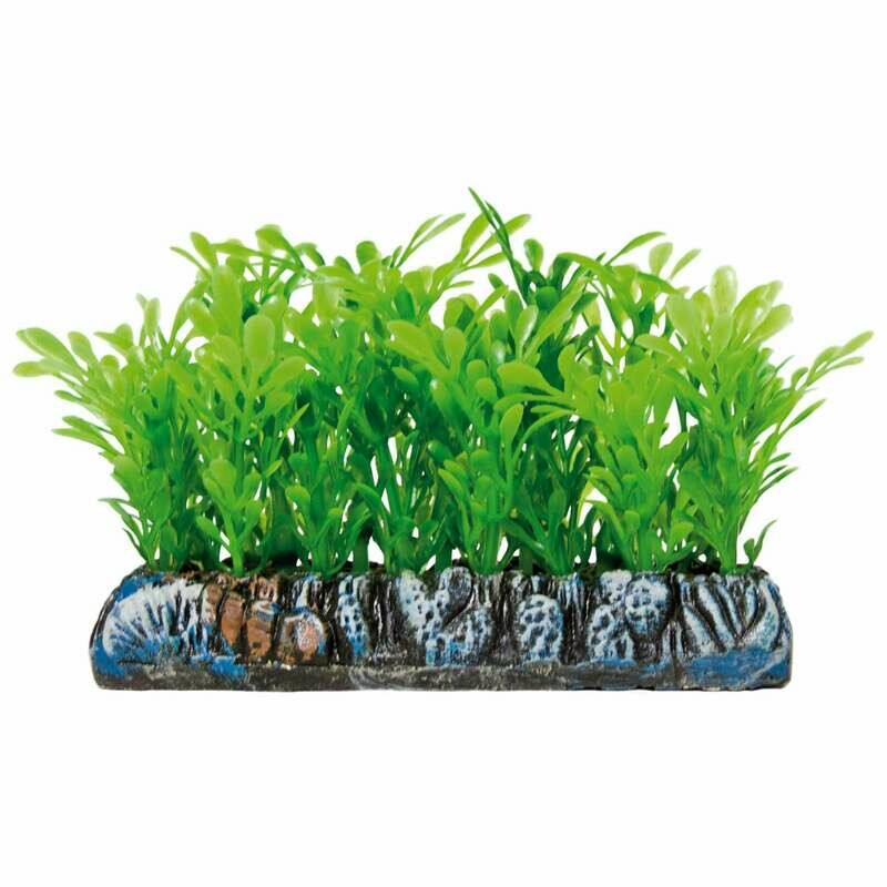 Salvacrías Samolus AQUATIC PLANTS (PLÁSTICO)