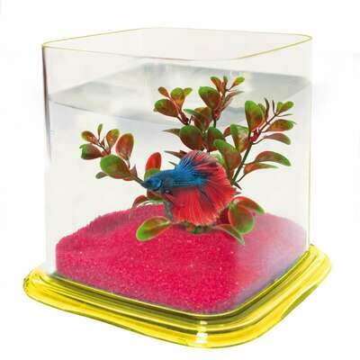 Bettera BETTA PARADISE