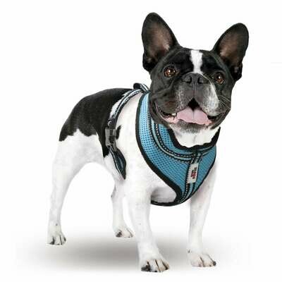Arnés Summer XT-DOG
