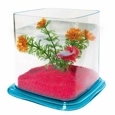 Bettera BETTA PARADISE