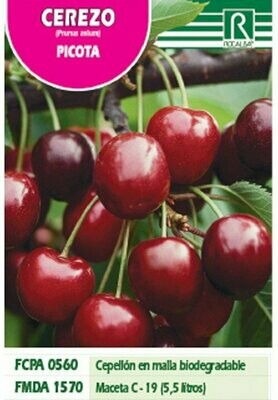 FRUTALES CEREZO PICOTA -rojo violaceo-