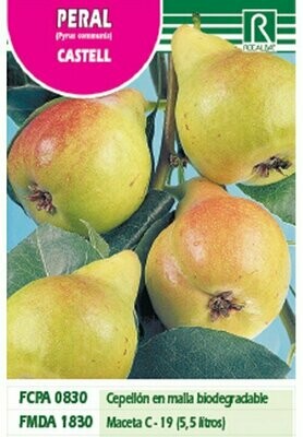 FRUTALES PERAL CASTELL (DE SAN JUAN) -amarillo veRDOSO-