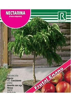FRUTALES NECTARINA ENANO