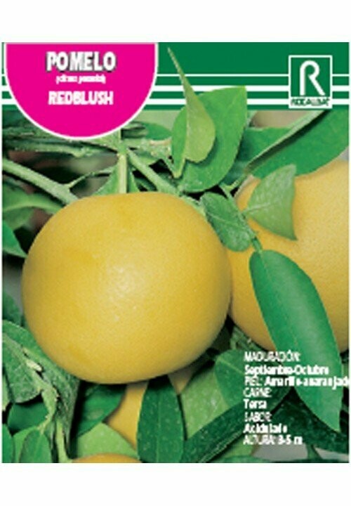 FRUTALES POMELO