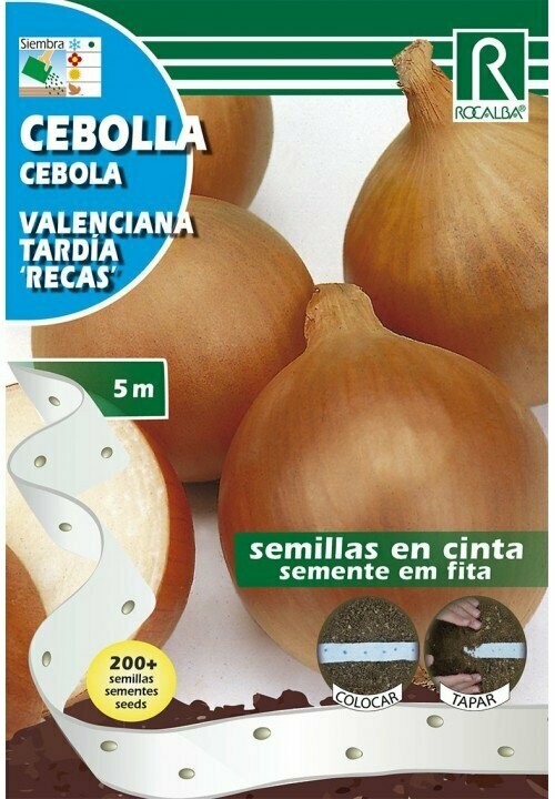 HORTALIZAS CINTA CEBOLLA(Allium cepa)
VALENCIANA TARDÍA RECAS