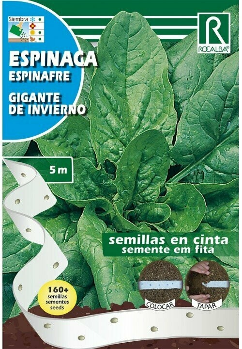 HORTALIZAS CINTA ESPINACA(Spinacia oleracea)
GIGANTE DE INVIERNO
