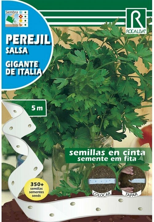 HORTALIZAS CINTA PEREJIL(Petroselinum crispum)
GIGANTE DE ITALIA