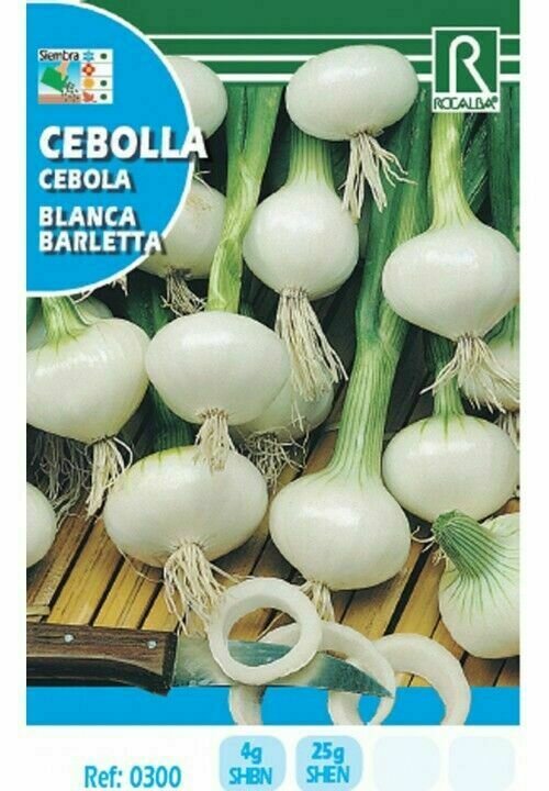CEBOLLA BLANCA BARLETTA