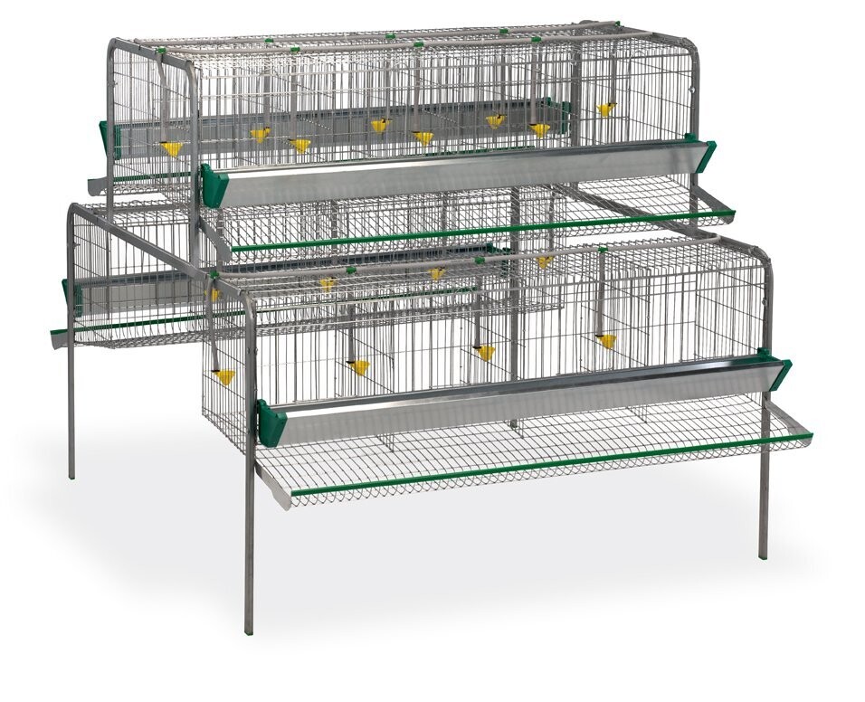 BATERIA GALLINAS 16 DPTOS. PRINCIPIO