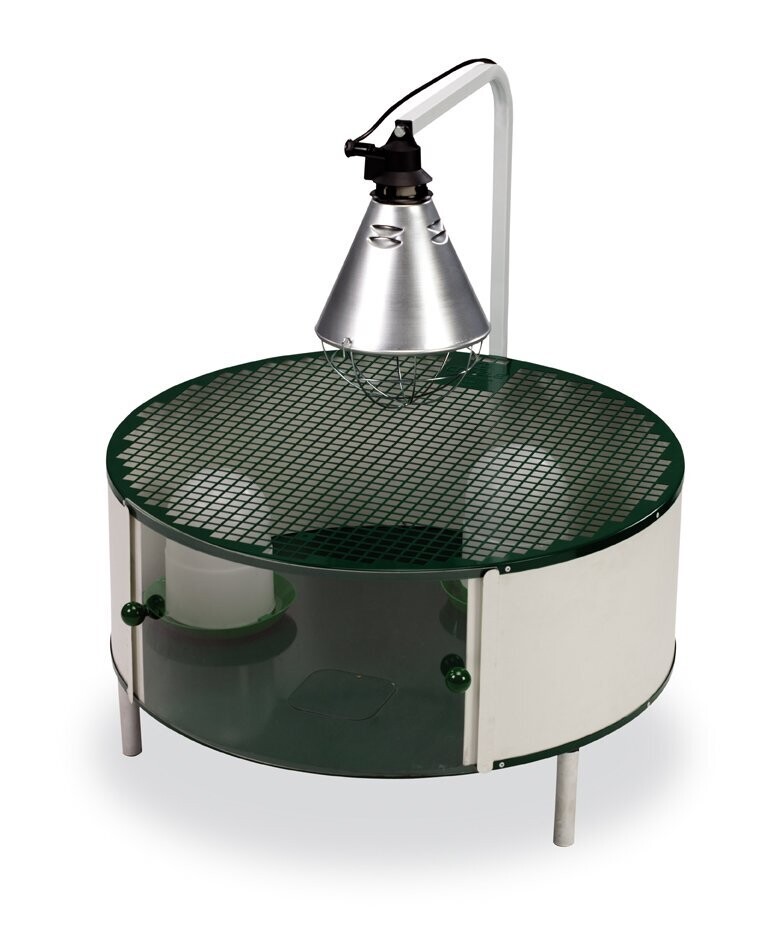 JAULA CRIADORA POLLITOS REDONDA